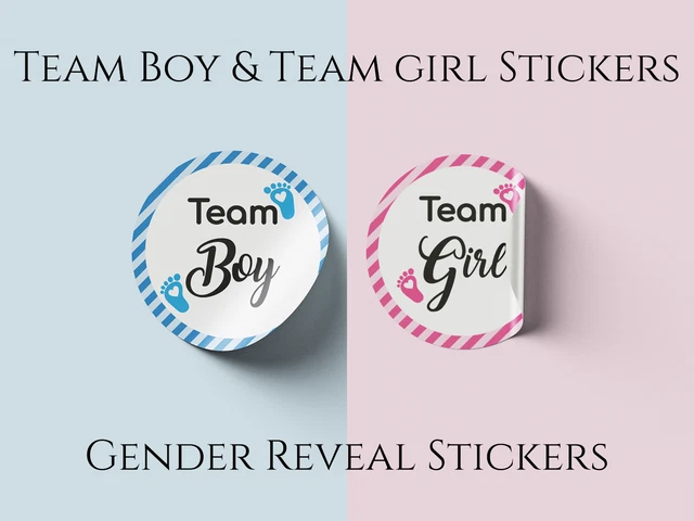 Team Boy/Team Girl stickers • Gender Reveal/ Baby Shower Stickers party supplies