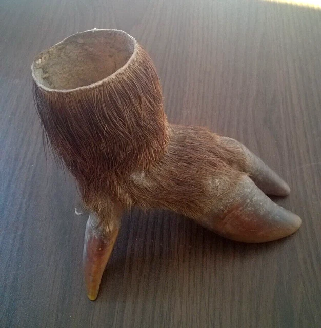 Écusson luxe pour honneur Sanglier | Made in Chasse