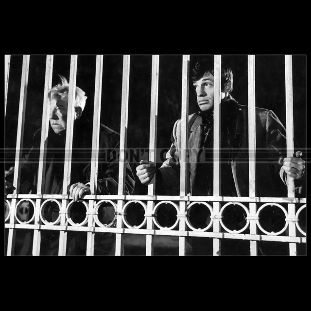 Portrait de Gabin et Belmondo dans Un singe en hiver - Photo et Tableau -  Editions Limitées - Achat / Vente