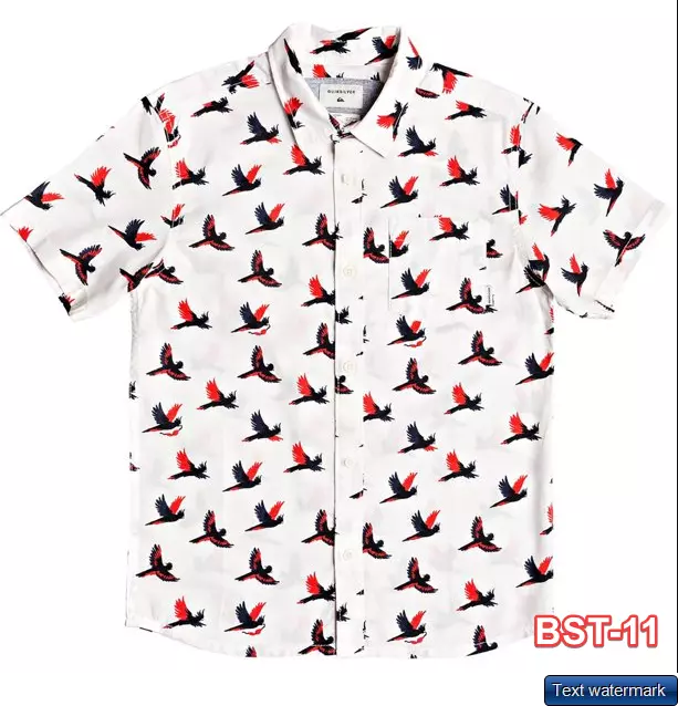 Quiksilver Big Boys' Cockatoo Shirts Gardenie XL/16