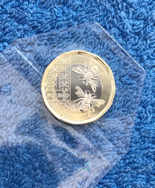 2024 UK £1 One Pound Coin ‘BEES’ Bunc KClll Royal Mint Definitive 2024 #2