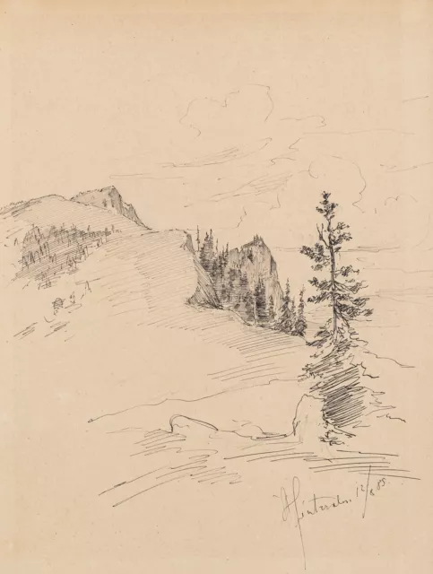 Unbekannt (19.Jhd), Gebirgslandschaft mit Tannen,  1885, Federzeichnung
