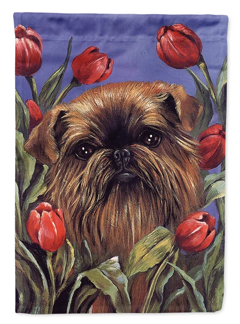 Brussels Griffon Peek a Boo Flag Garden Size PPP3041GF