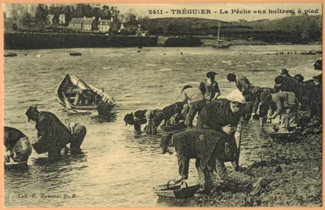 Reédition carte postale ancienne-La pêche aux huitres a pied-Tréguier-M16