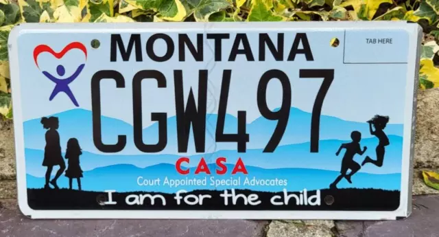 Plaque d'immatriculation Montana CGW497 USA US License Plate - CASA
