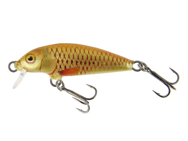 Boite de 5 leurres de pêche articulés - Gardon - Vairon - Truite 6 - 7