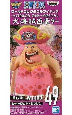 one piece wt100