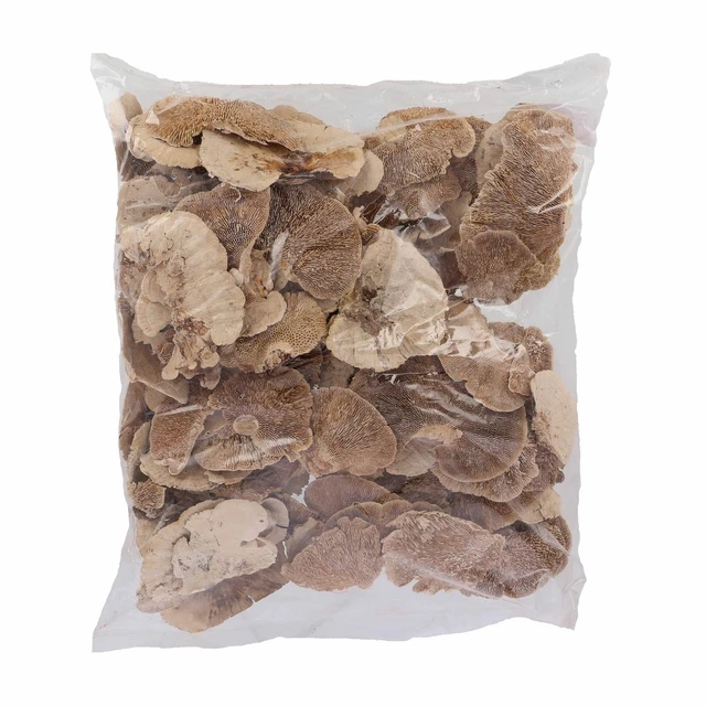 Esponja de árbol - 1 kg - blanqueada