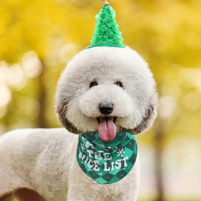 1 Juego Navidad Gorro Mascota y Bandana, Encantador
