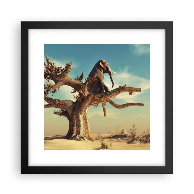 Affiche Poster 30x30cm Tableaux Image Photo S'asseyant Éléphant Arbre Wall Art