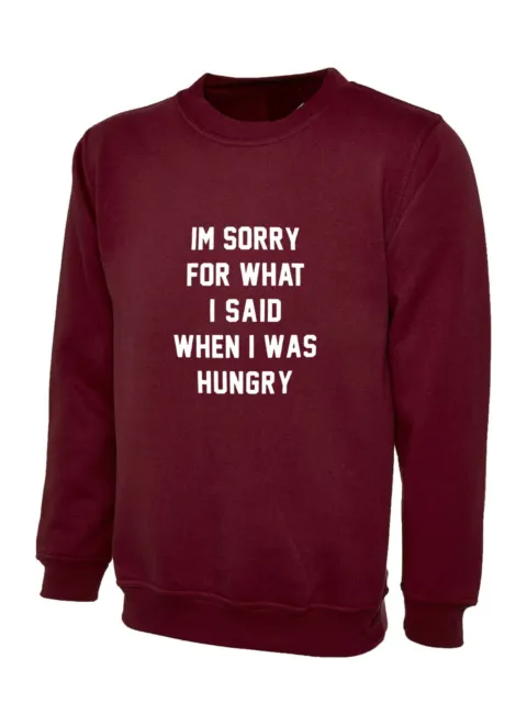 I'M SORRY FOR WHAT I SAID WHEN I WAS HUNGRY Sweatshirt Jumper Funny Food Lover