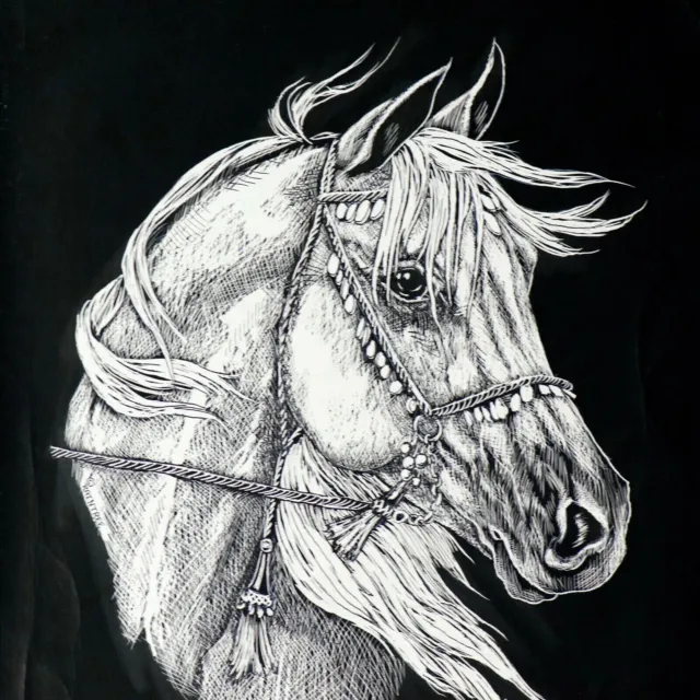 Marcia Van Woert Original Art Etching Horse Head in Bridle Signed RAINTREE