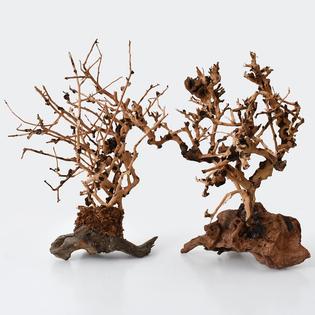 Driftwood Tree for Aquarium Moss Fish Shrimp Tank Ornaments Landscaping Decors