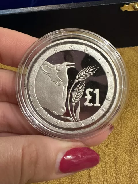 Fao Money Collection Coin Cyprus 1 Pound 1995 Proof Silver Q5