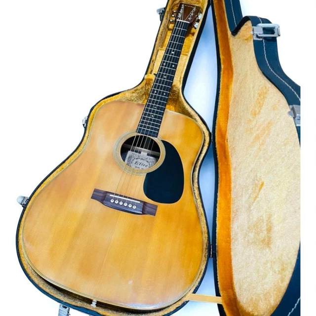 8279 TAKAMINE ELITE Tw40 Guitar $1,013.54 - PicClick CA