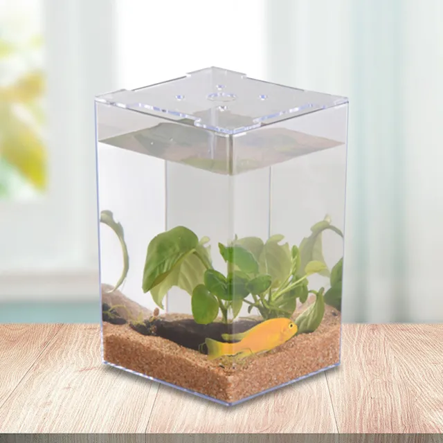 Fish Tank High Transparency Raise Small Pets Fighting Fish Small Micro Landscape
