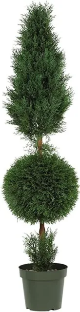 ​Nearly Natural 5168 5ft. Artificial Cypress Ball&Cone Silk Tree w/Planter LOCAL