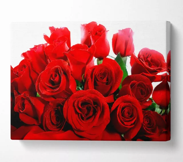 Lovely Red Roses Canvas Wall Art Home Decor Large Print