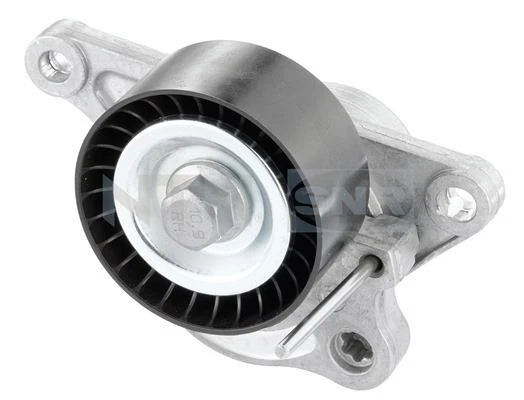 Galet Tendeur (Courroie D'accessoire) Renault Scénic Ii 2.0 Dci