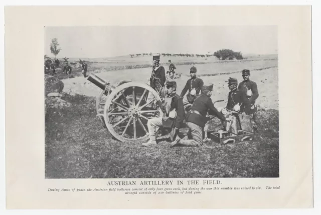 c1914 WWI Photo print AUSTRIAN ARTILLERY IN THE FIELD 9.5" x 6.25"