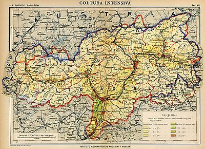 Alto Adige-Südtirol Ferrovie,Linee Automobilistiche,Poste Cromolitografia.1919 
