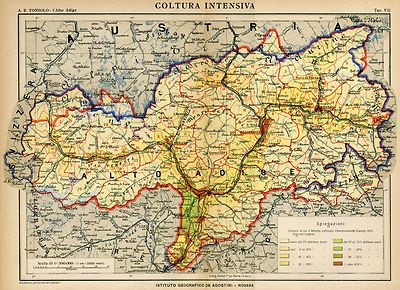 Campi,Orti,Vigneti.Carta Geografica.1919 Colture intensive Alto Adige-Südtirol 
