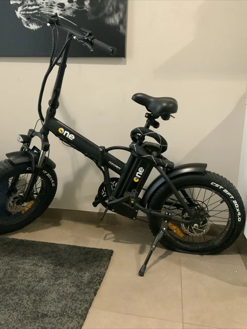 BICICLETTA ELETTRICA FAT Bike The One Rider EUR 650 00 PicClick IT