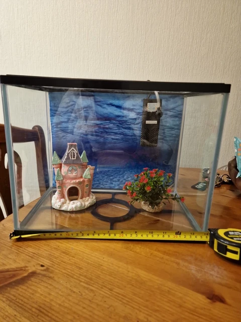 Small Fish Tank