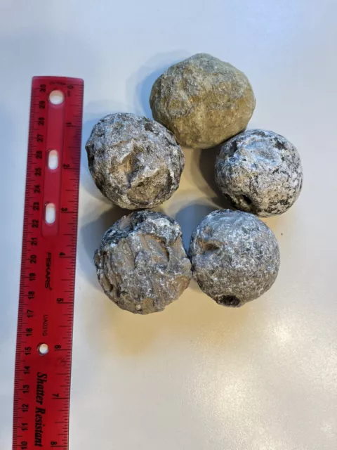 Five unopened geodes 1.2 pounds
