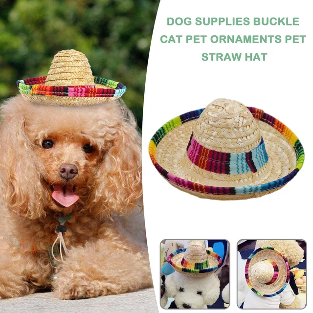 Costume Forniture Cane Cappello Animale Animale Animale Paglia Ornamenti Animale Messicano Paglia Q7O7