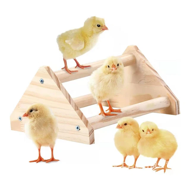 Spielstange Aus Holz Für Vögel – Sitzstange Mit Spielzeug-Anhänger, Für Kleine Und Mittelgroße Vögel, Einfach Zu Montieren
