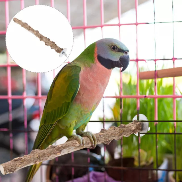 Zubehör Für Sittichkäfige Vogel Steht Papageien Sittichstangen Barsch Spielzeug