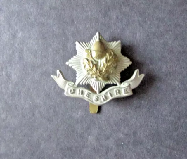 Original Genuine Vintage The Cheshire Regiment Bi-Metal Cap Badge