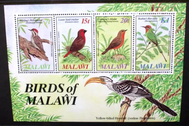 MALAWI 1985 John J Audubon Birth Bicentenary: Birds. SOUVENIR SHEET. MNH SGMS737
