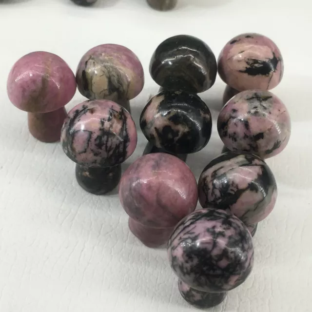 10pc Natural rhodonite jasper Quartz hand Carved mushroom crystal Reiki healing