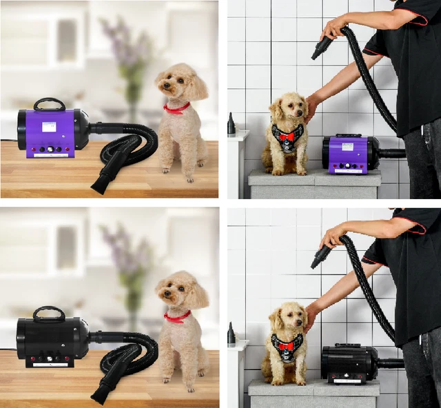 2800 W Scaldacapelli Soffiatore Asciugacapelli Cane Animale Animale Basso Rumore