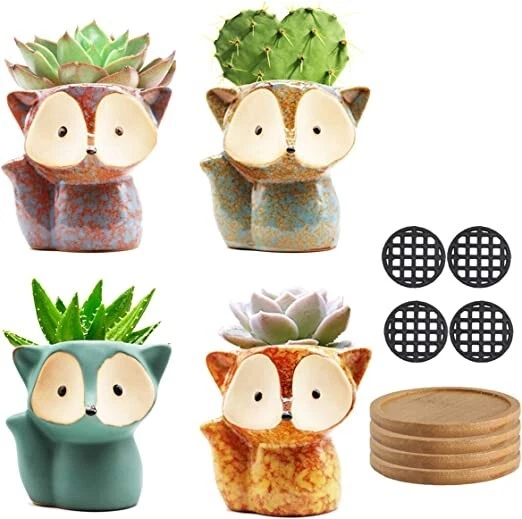 Planters Ceramic Flower Pots, with Drain Hole & Bamboo Saucers Trays