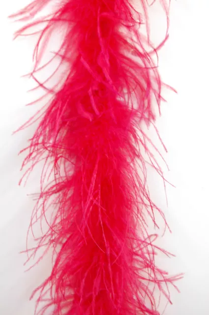 2 PLY OSTRICH Feather 2-Yard BOA Top Quality 20+ MANY COLORS Costumes/Haloween 3