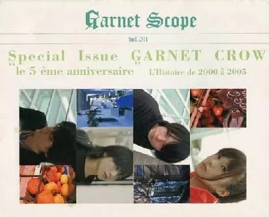 IDOL MAGAZINE GARNET Scope VOL.041 $67.24 - PicClick CA