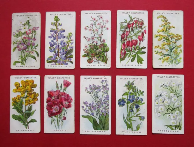 Wills 10 Scarce Antique 1913 Series 2 Cigarette Cards Old English Garden Flowers