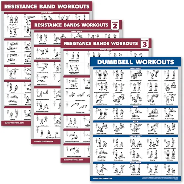 Palace Learning Res Bands Posters 1, 2 & 3 + Dumbbell Chart - 4 Pack