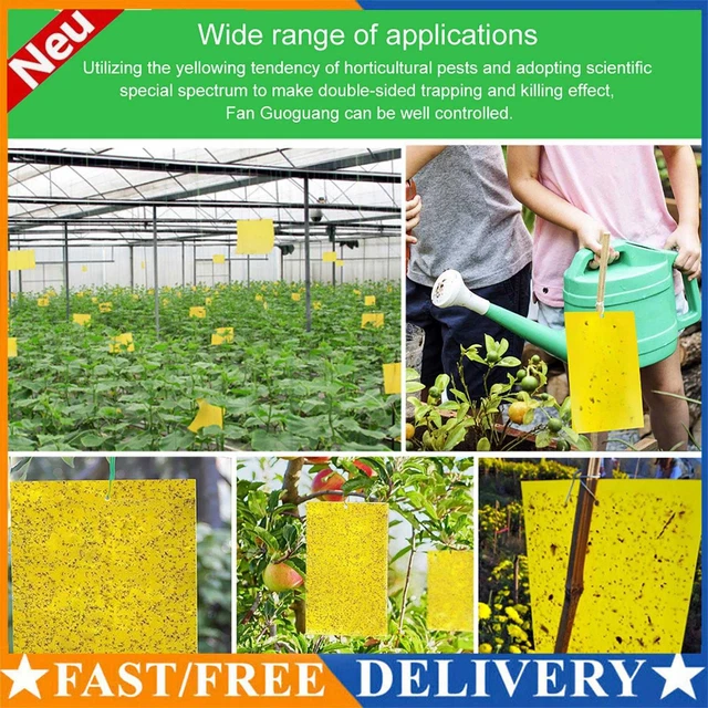 Sticky Traps for Bugs - 20 Pieces Fly Paper Stickers for Indoor House Leaves