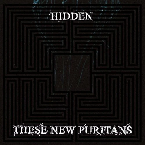 These New Puritans - Hidden [Cd]