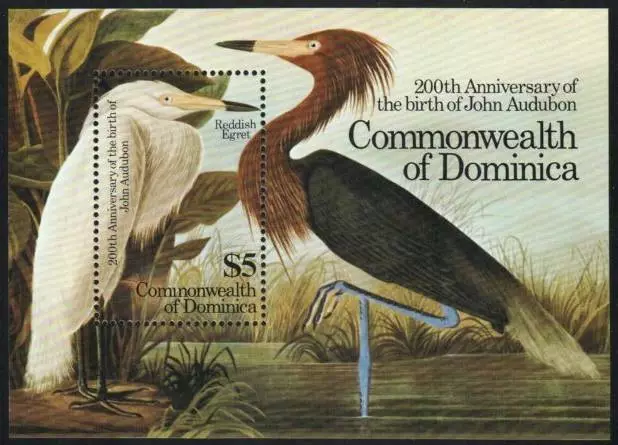 Dominica Stamp 895  - Audubon Birds