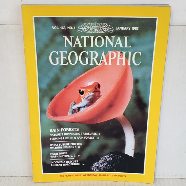 Cibo In Miniatura Da Creare Miniature Per Case Delle Bambole In Scala 1:12, Scatola Colorata, Ideale Per Collezionisti E Hobbisti Mm6 Maison Margiela - Foto 5