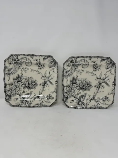 lot of 2 new 222 Fifth ADELAIDE GREY SALAD  PLATES Fine China Porcelain bird