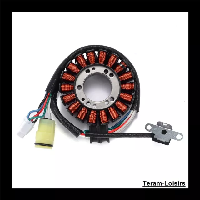 Stator Allumage pour Yamaha YFM 250 X Bear Tracker 250 de 2001 à 2004 NEUF