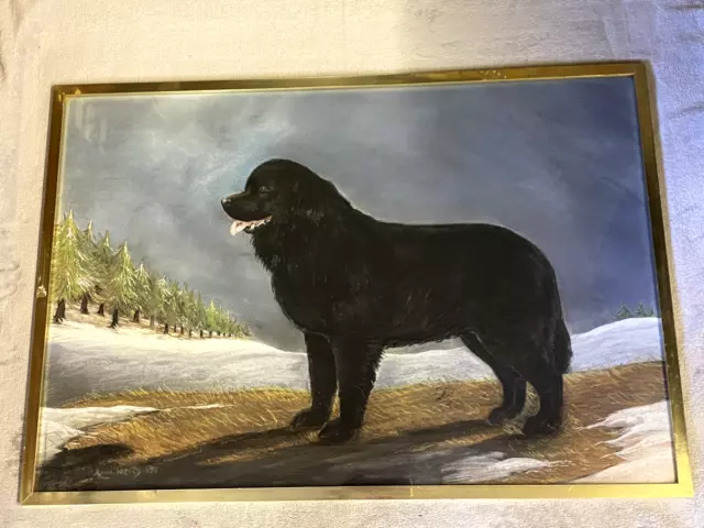 Very Large Antique Newfoundland Dog Painting Signed  1981 Named Dog