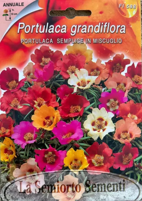 Semi-Seeds Fiori Giardino Portulaca Grandiflora Miscuglio Sementi 100% Italiane
