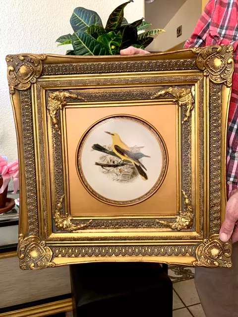 Hand Painted Oriole Birds On Porcelain Plate Gold Framed Art Mark Roberts Vintag